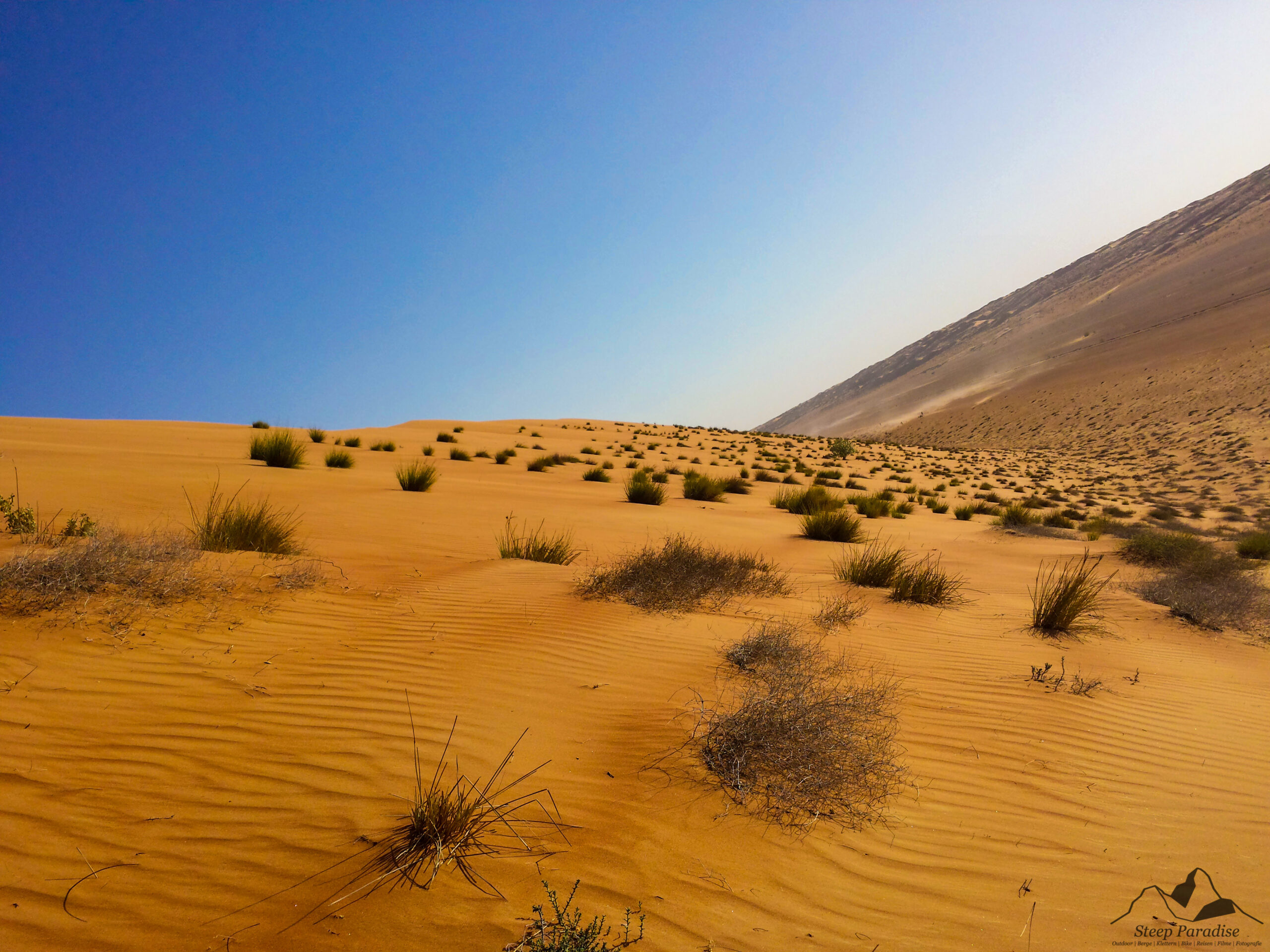 Sultanat Oman - Wüste 1